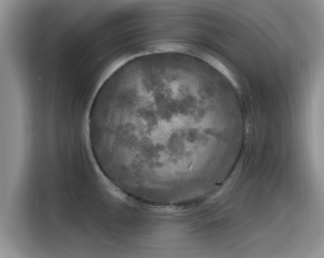 X0000115691047200911191110