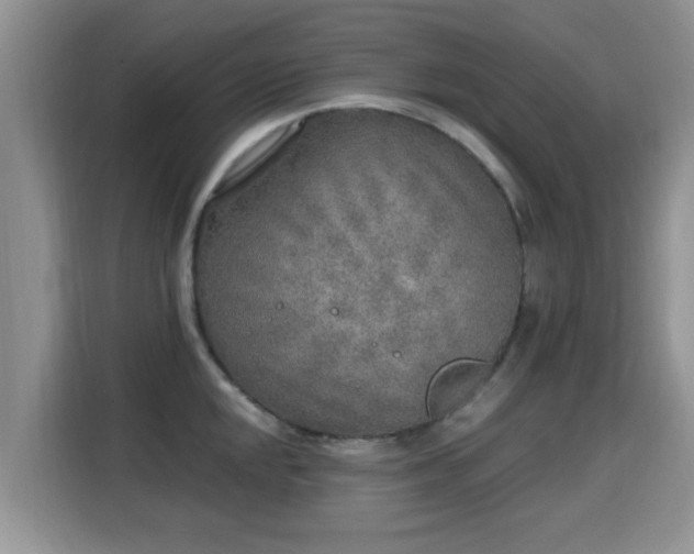 X0000115691048200911191110