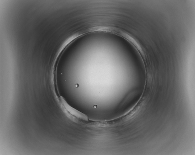 X0000115691050200911191110