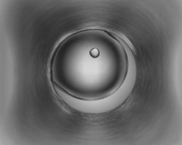 X0000115691051200911191110