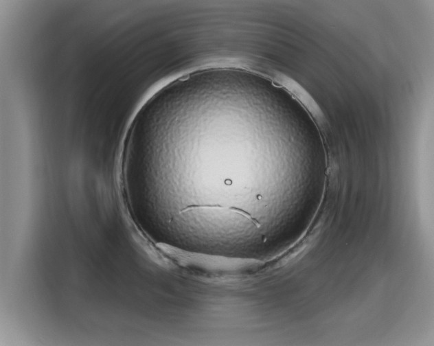 X0000115691052200911191110