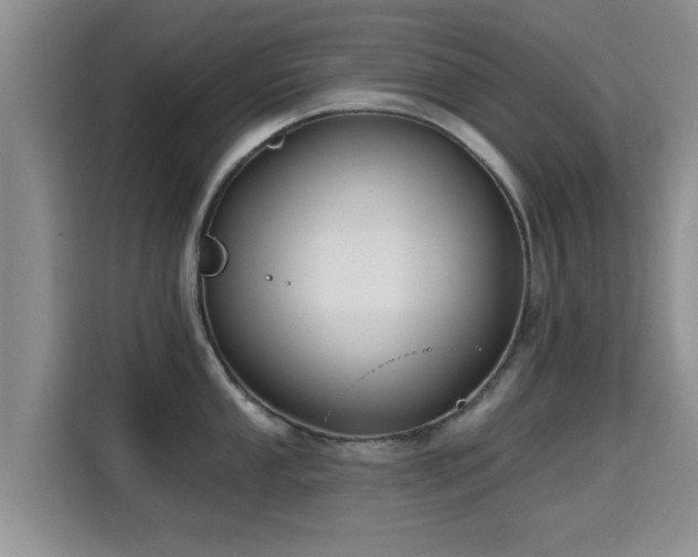 X0000115691053200911191110