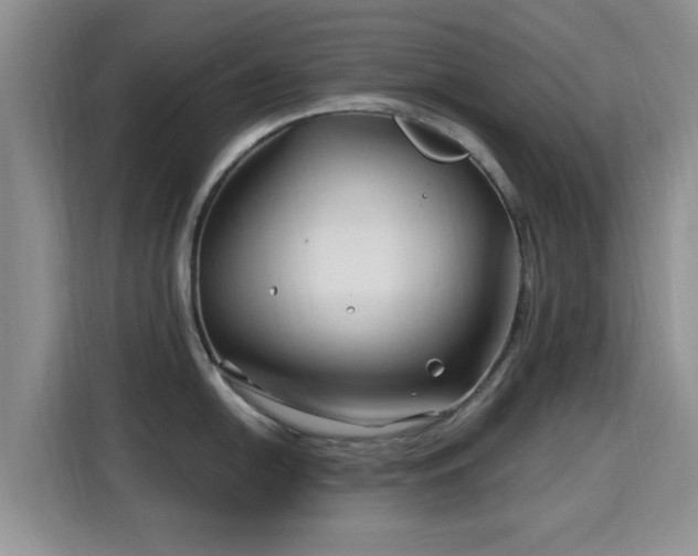 X0000115691054200911191110