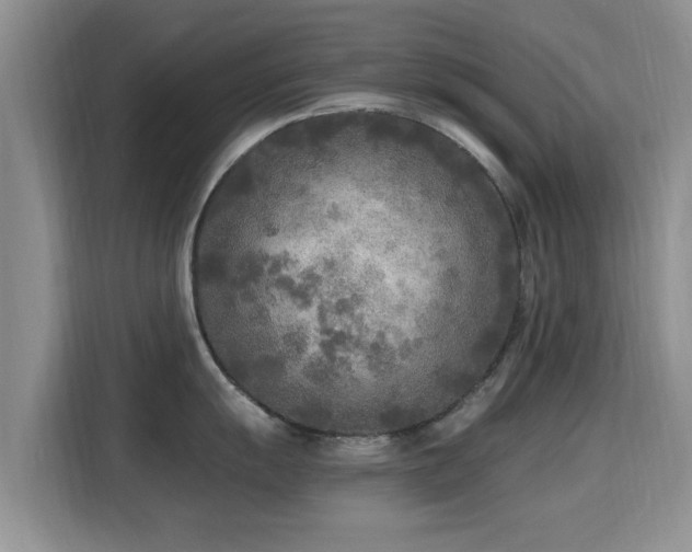 X0000115691055200911191110