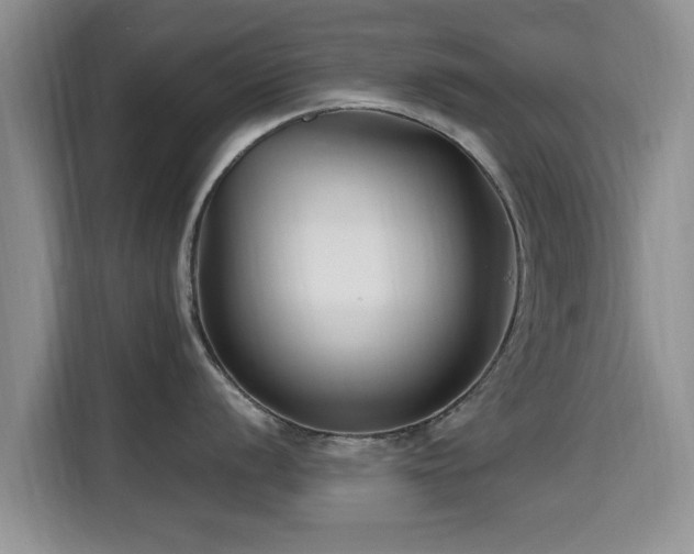 X0000115691056200911191110