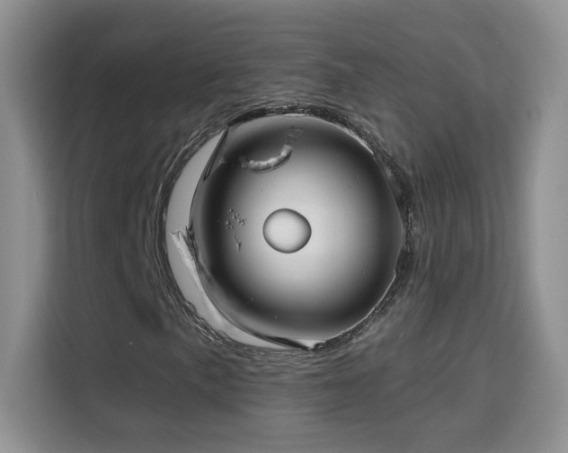 X0000115691057200911191109