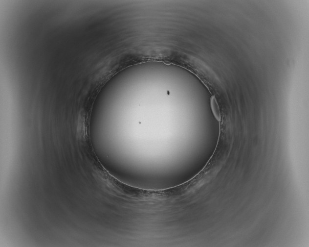 X0000115691058200911191109