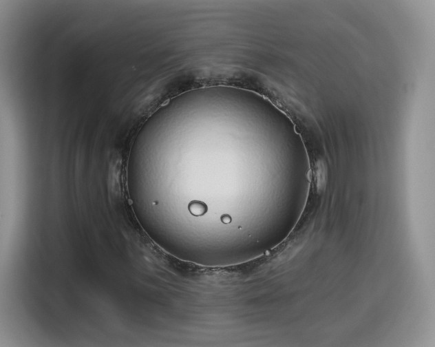 X0000115691059200911191109