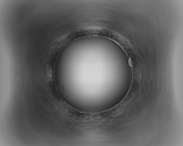 X0000115691061200911191109