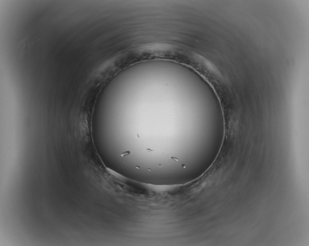 X0000115691062200911191109