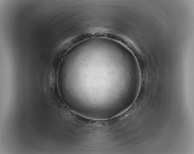 X0000115691063200911191109