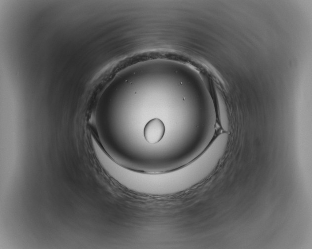 X0000115691064200911191109