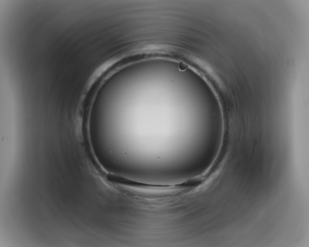 X0000115691066200911191109