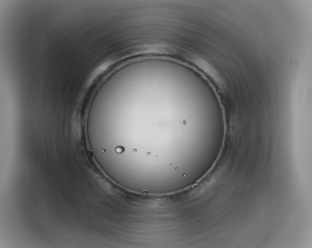 X0000115691067200911191109