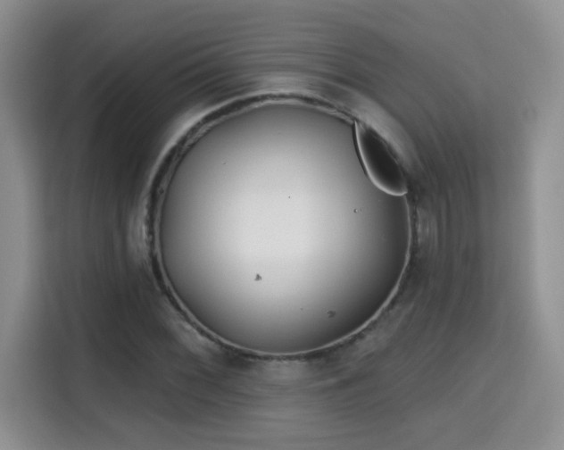 X0000115691068200911191109