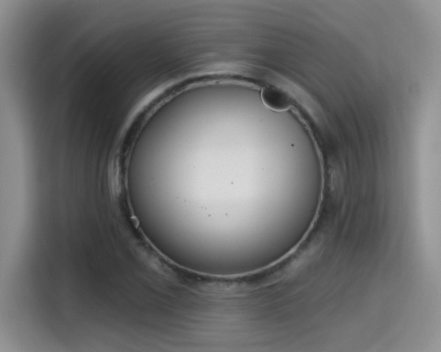 X0000115691069200911191109