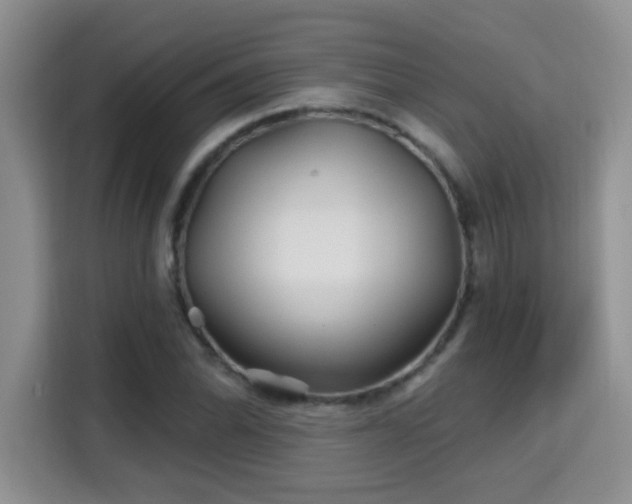 X0000115691070200911191109