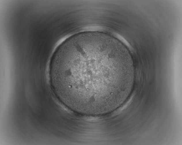 X0000115691071200911191109