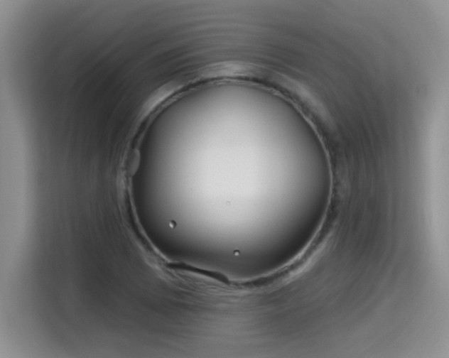 X0000115691073200911191109