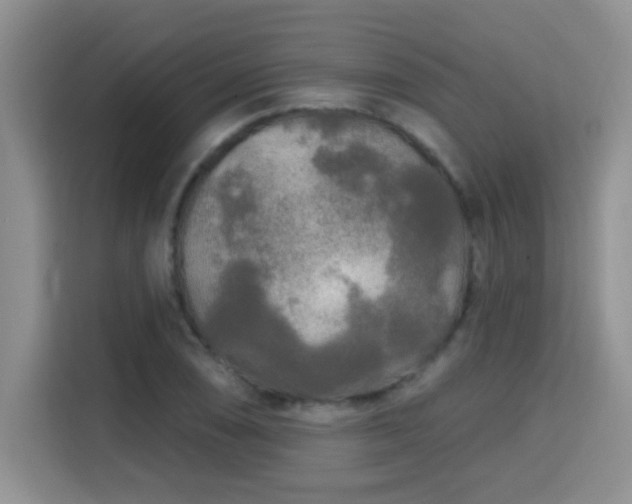 X0000115691074200911191109