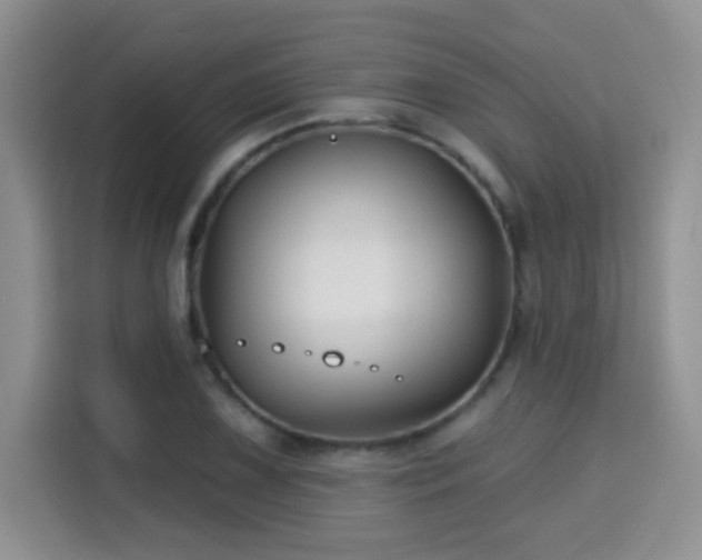 X0000115691075200911191109