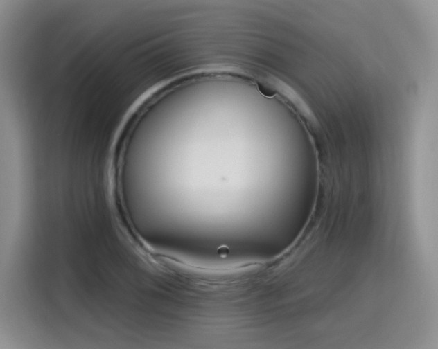 X0000115691076200911191109