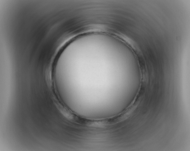 X0000115691078200911191109