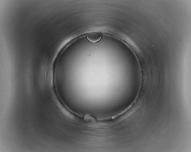 X0000115691079200911191109