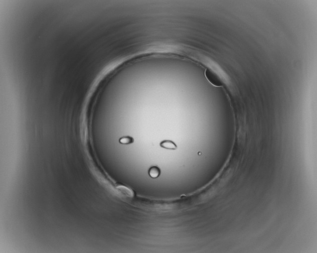 X0000115691080200911191109