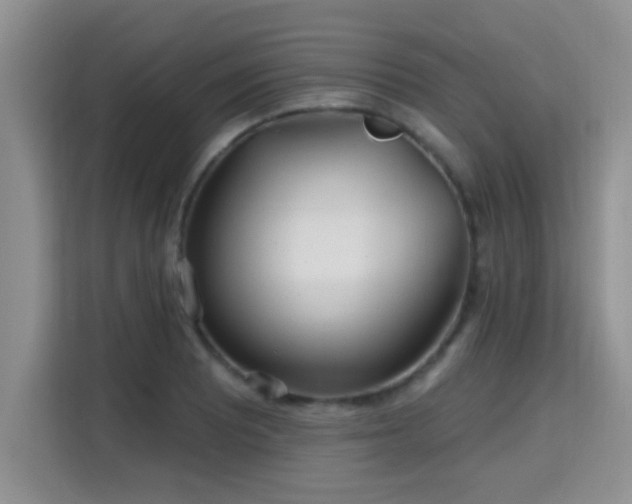 X0000115691081200911191109