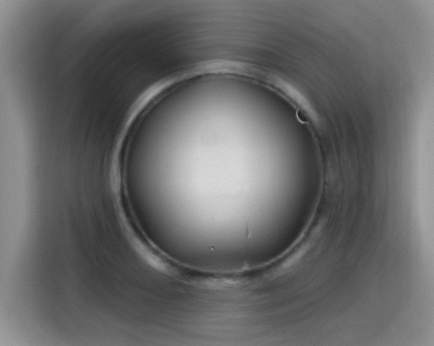 X0000115691082200911191109