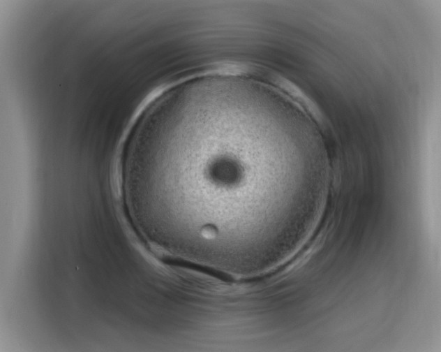 X0000115691083200911191109