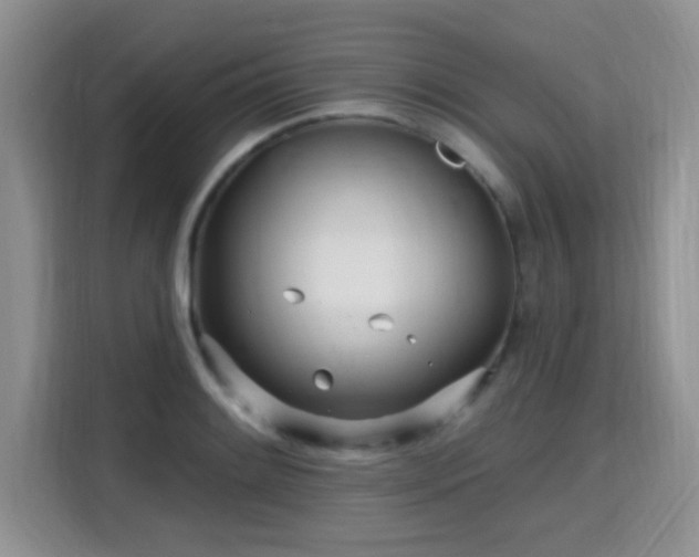 X0000115691084200911191109