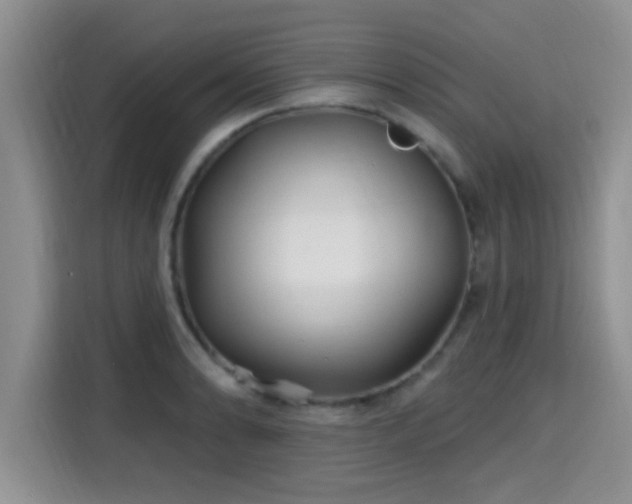 X0000115691086200911191109