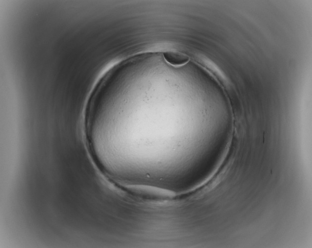 X0000115691087200911191109