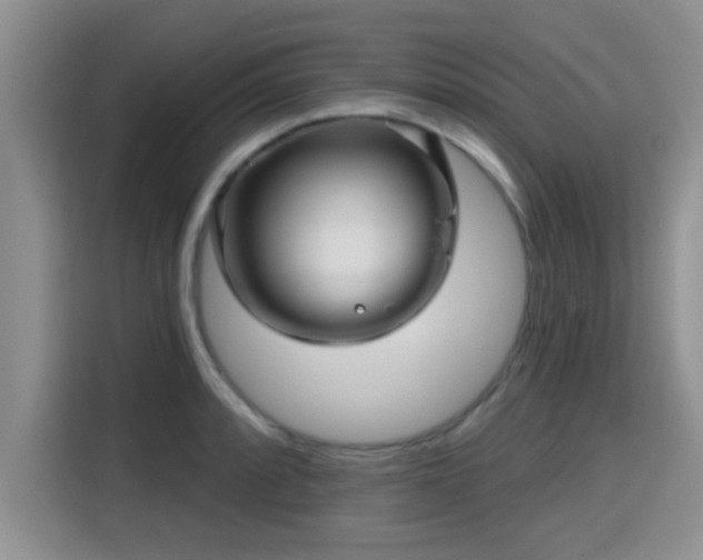 X0000115691088200911191109