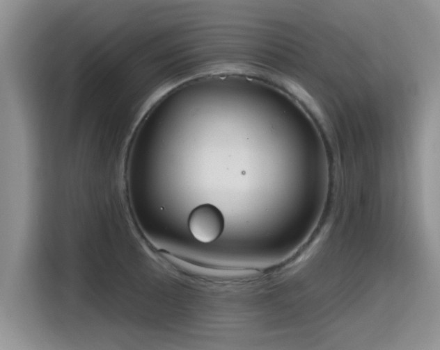 X0000115691089200911191109