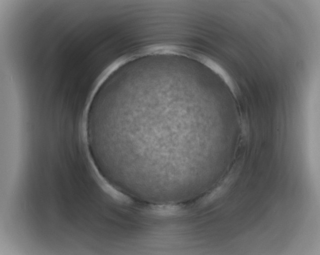 X0000115691090200911191109