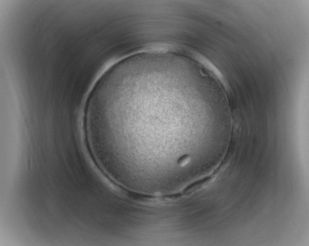 X0000115691091200911191109