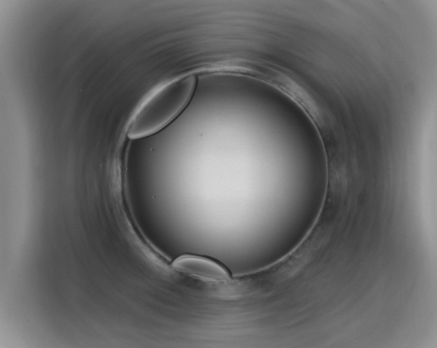 X0000115691092200911191109