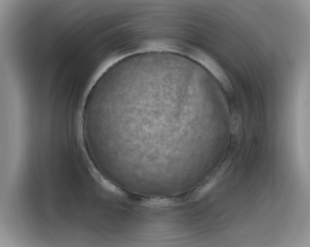 X0000115691094200911191109