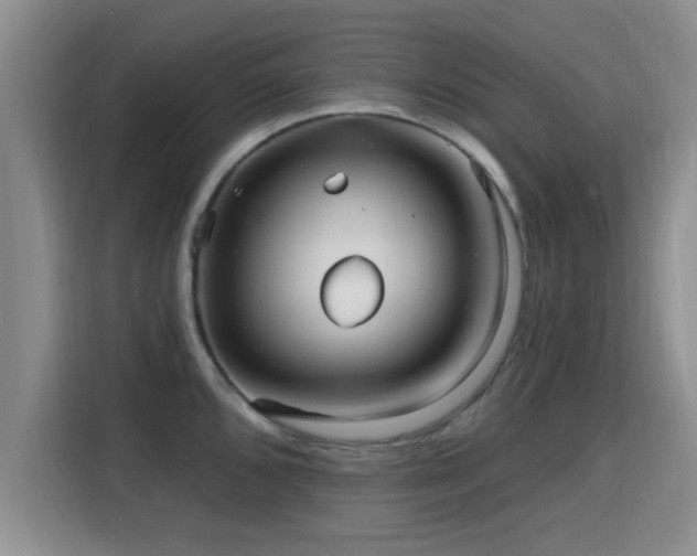 X0000115691096200911191109