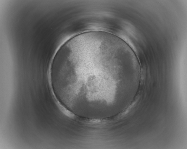 X0000115691098200911191109