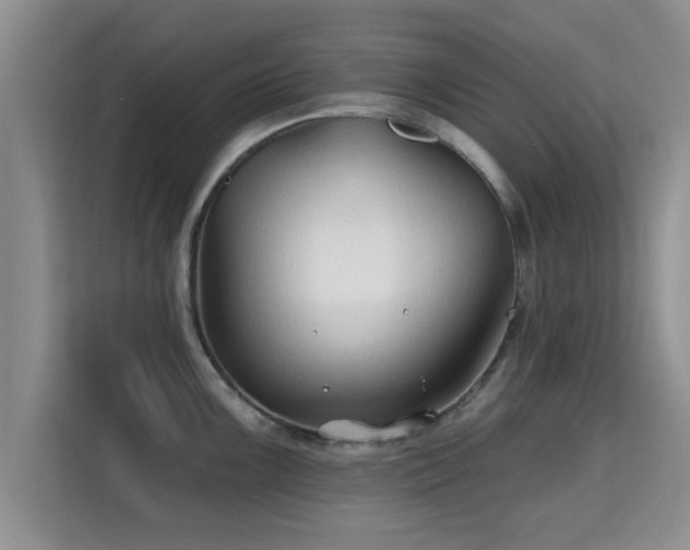 X0000115691099200911191109