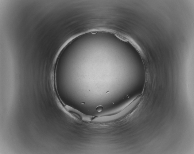 X0000115691100200911191109