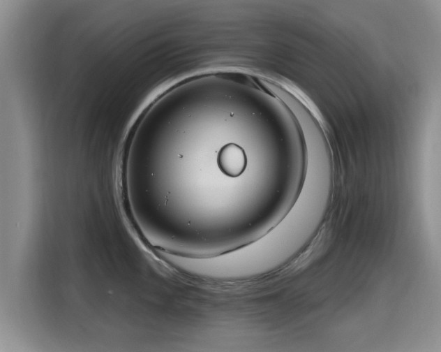 X0000115691101200911191109