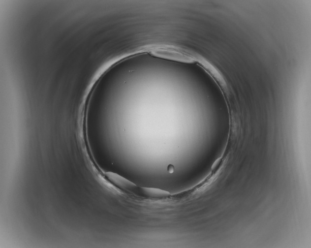 X0000115691102200911191109