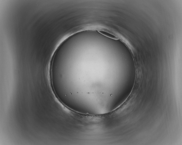 X0000115691103200911191109