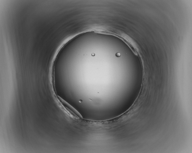 X0000115691104200911191109