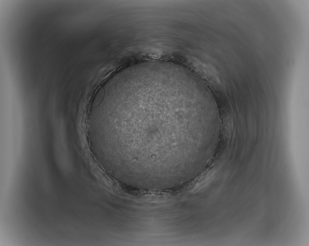 X0000115691105200911191108